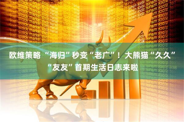 欧维策略 “海归”秒变“老广”！大熊猫“久久”“友友”首期生活日志来啦
