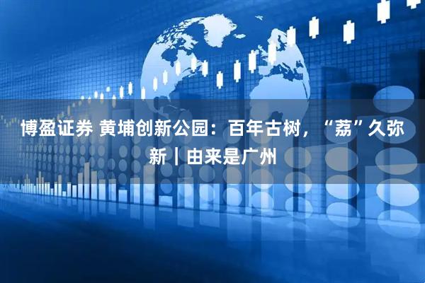 博盈证券 黄埔创新公园:百年古树,“荔”久弥新|由来是广州
