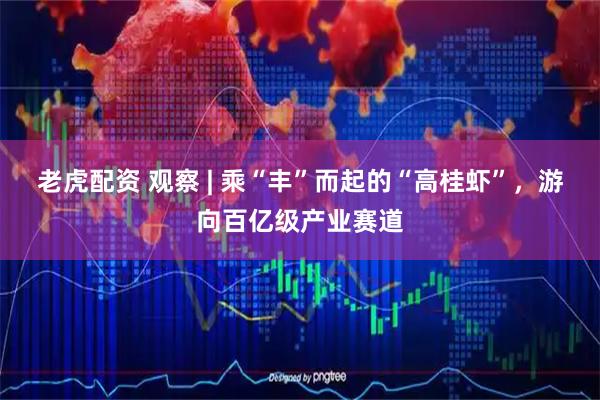 老虎配资 观察 | 乘“丰”而起的“高桂虾”，游向百亿级产业赛道