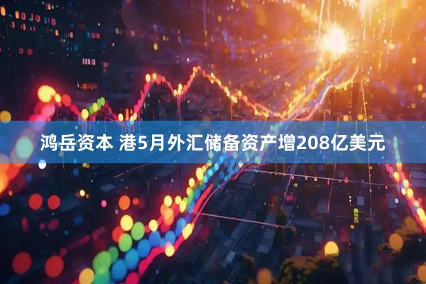 鸿岳资本 港5月外汇储备资产增208亿美元