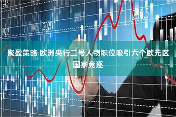 聚盈策略 欧洲央行二号人物职位吸引六个欧元区国家竞逐