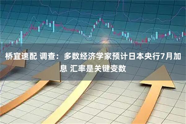 桥宜速配 调查：多数经济学家预计日本央行7月加息 汇率是关键变数