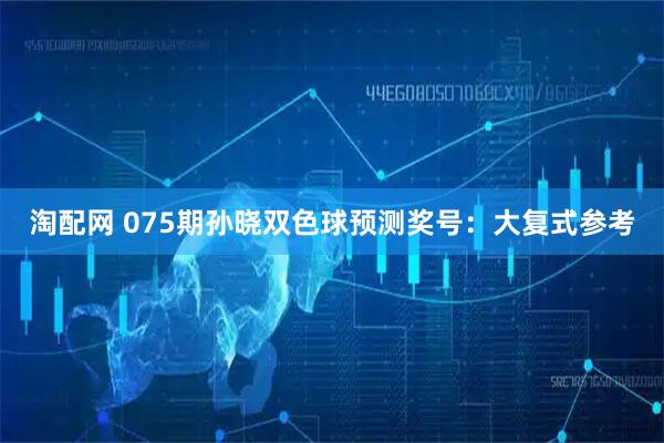 淘配网 075期孙晓双色球预测奖号：大复式参考